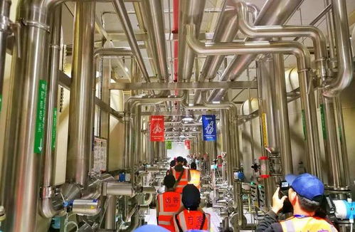 百威雪津 世界級智慧低碳工廠，黑科技護航啤酒誕生之旅與接待業務