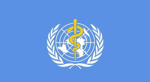 世衛組織最新公布，徹底顛覆認知